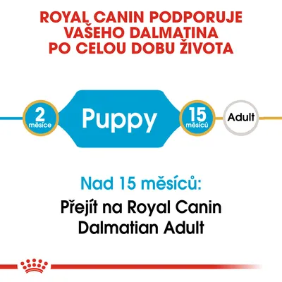 Royal Canin podporuje vašeho dalmatina po celý život. Od 2 do 15 měsíců Puppy, nad 15 měsíců přejít na Royal Canin Dalmatian Adult.