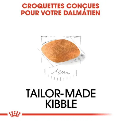 Croquettes conçues pour votre dalmatien, visuel d'une croquette de 1 cm. Texte en anglais : Tailor-made kibble.