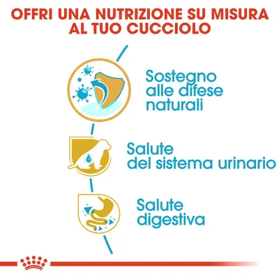 Offri una nutrizione su misura al tuo cucciolo. Sostegno alle difese naturali, salute del sistema urinario, salute digestiva. Testo in italiano.