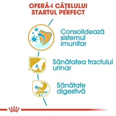 Royal Canin Dalmatian Puppy