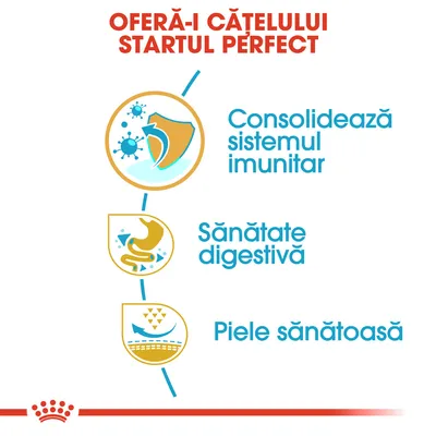 Oferă-i cățelului startul perfect: consolidează sistemul imunitar, sănătate digestivă, piele sănătoasă. Text și pictograme explicative.