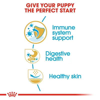 Image highlights immune system support, digestive health, and healthy skin as key benefits for puppies. Text: Give your puppy the perfect start.