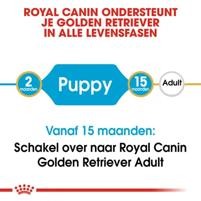 Royal Canin ondersteunt je Golden Retriever in alle levensfasen. Puppy: 2–15 maanden. Vanaf 15 maanden: schakel over naar Royal Canin Golden Retriever Adult.