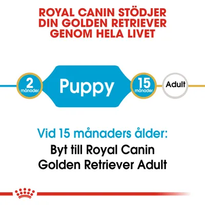 Royal Canin stödjer din Golden Retriever genom hela livet. Puppy 2–15 månader. Vid 15 månaders ålder: Byt till Royal Canin Golden Retriever Adult.