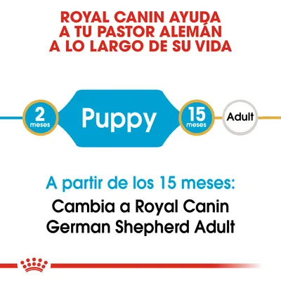 Royal Canin ayuda a tu pastor alemán a lo largo de su vida. Puppy: 2–15 meses. A partir de los 15 meses, cambia a Royal Canin German Shepherd Adult.