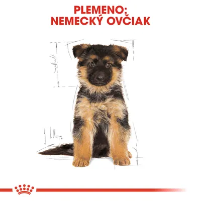 Text: Plemeno: nemecký ovčiak. Šteniatko nemeckého ovčiaka sediace vpredu na bielom pozadí s červeným pruhom a korunkou dole.