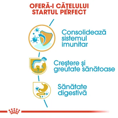 Oferă-i cățelului startul perfect. Consolidează sistemul imunitar. Creștere și greutate sănătoase. Sănătate digestivă.