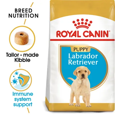 Royal Canin Labrador Retriever Puppy