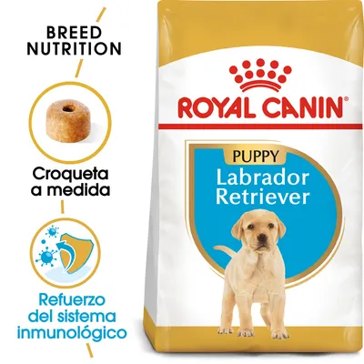 Royal Canin Puppy Labrador Retriever, croqueta a medida, refuerzo del sistema inmunológico. Texto en inglés: Breed Nutrition.