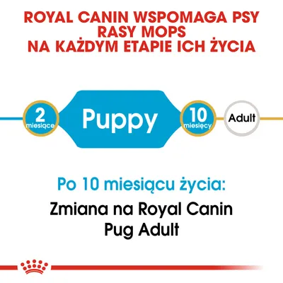 Royal Canin wspomaga psy rasy mops na każdym etapie życia. Puppy 2–10 miesięcy, po 10 miesiącu zmiana na Royal Canin Pug Adult.