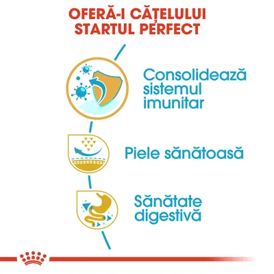 Oferă-i cățelului startul perfect. Consolidează sistemul imunitar, piele sănătoasă, sănătate digestivă.