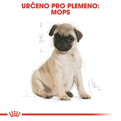 Text: URČENO PRO PLEMENO: MOPS. Ilustrace psa plemene mops sedícího na bílém pozadí s červeným pruhem a korunkou dole.