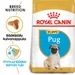 Royal Canin Pug Puppy