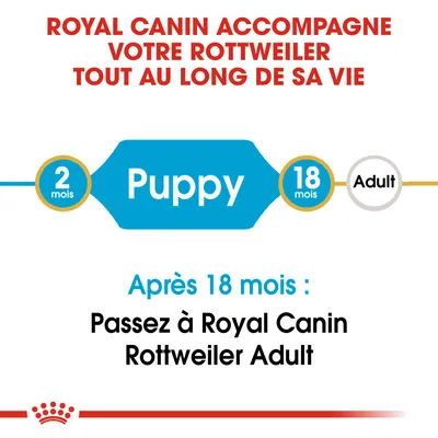Royal Canin accompagne votre Rottweiler tout au long de sa vie. Puppy 2–18 mois, puis passez à Royal Canin Rottweiler Adult après 18 mois.