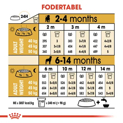 Fodertabel for hunde: daglig mængde i gram og kopper for 40, 45 og 50 kg voksne, opdelt efter alder fra 2 til 14 måneder. 1 kop = 240 ml (ca. 98 g). ME = 3857 kcal/kg.