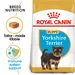 Royal Canin Yorkshire Terrier Puppy