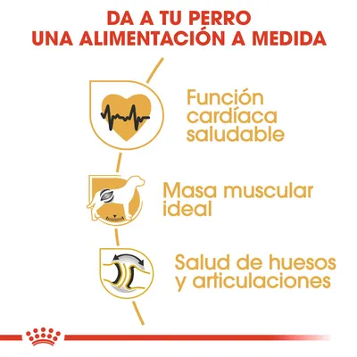 Da a tu perro una alimentación a medida. Función cardíaca saludable, masa muscular ideal, salud de huesos y articulaciones.