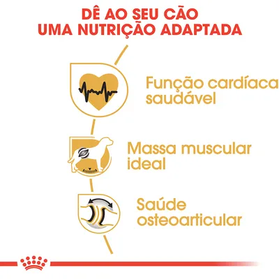 Dê ao seu cão uma nutrição adaptada: função cardíaca saudável, massa muscular ideal, saúde osteoarticular. Texto e ícones ilustrativos.