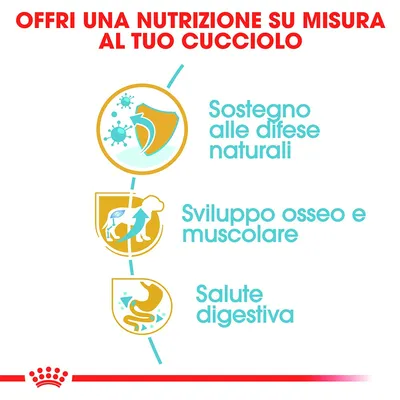 Offri una nutrizione su misura al tuo cucciolo. Sostegno alle difese naturali, sviluppo osseo e muscolare, salute digestiva. Offri una nutrizione su misura al tuo cucciolo. Sostegno alle difese naturali, sviluppo osseo e muscolare, salute digestiva.