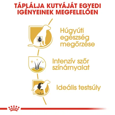 Táplálja kutyáját egyedi igényeinek megfelelően: húgyúti egészség megőrzése, intenzív szőrszínárnyalat, ideális testsúly.