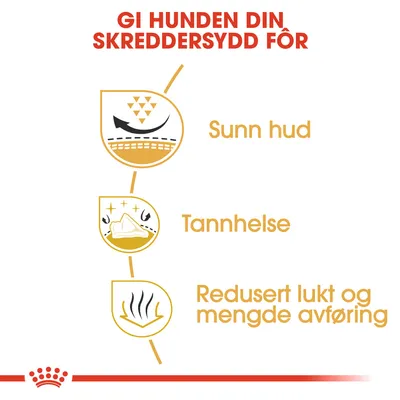 Royal Canin Shih Tzu Adult