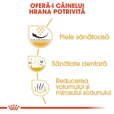 OFERĂ-I CÂINELUI HRANA POTRIVITĂ. Piele sănătoasă, Sănătate dentară, Reducerea volumului și mirosului scaunului – beneficii prezentate cu pictograme.