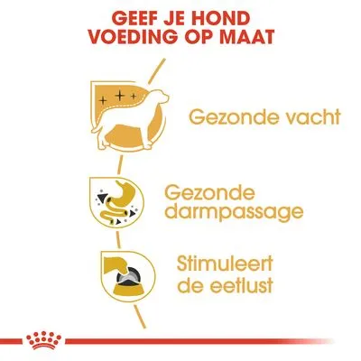 Geef je hond voeding op maat. Gezonde vacht, gezonde darmpassage, stimuleert de eetlust.