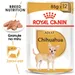 Royal Canin Breed Chihuahua Mousse