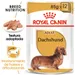 Royal Canin Dachshund Adult Mousse