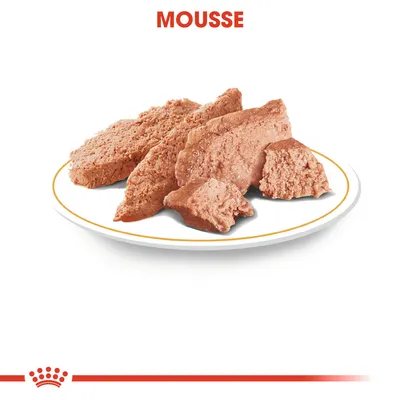 Assiette contenant de la mousse pour animaux, texture pâtée visible. Texte en haut : MOUSSE. Marque avec couronne stylisée en bas de l’image.