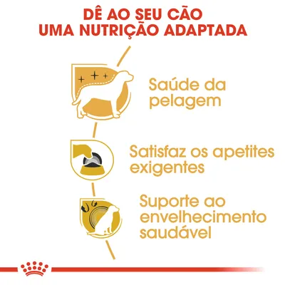 Dê ao seu cão uma nutrição adaptada: saúde da pelagem, satisfaz os apetites exigentes, suporte ao envelhecimento saudável.