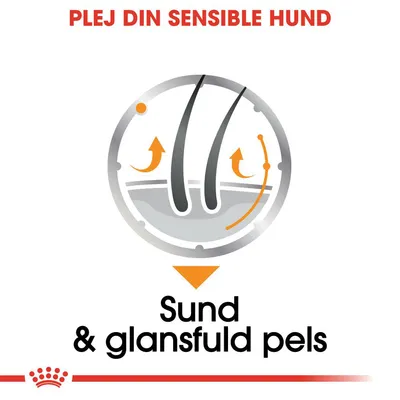 Tekst: PLEJ DIN SENSIBLE HUND. Illustration af hårsæk med pile. Tekst: Sund & glansfuld pels.