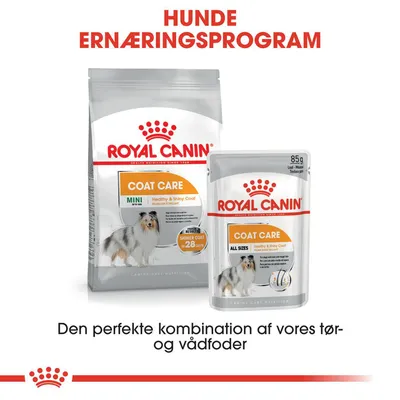 Royal Canin Coat Care MINI tørfoder og Coat Care ALL SIZES vådfoder til hunde. Tekst: Hunde Ernæringsprogram. Den perfekte kombination af vores tør- og vådfoder.