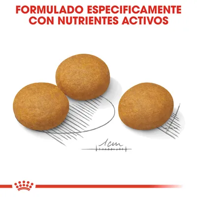 Tres croquetas redondas de pienso junto al texto: FORMULADO ESPECÍFICAMENTE CON NUTRIENTES ACTIVOS. Escala visible indica tamaño aproximado de 1 cm.