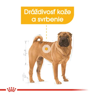 Dráždivosť kože a svrbenie – ilustrácia psa s vyznačeným miestom na koži, zvýraznený text v slovenčine.