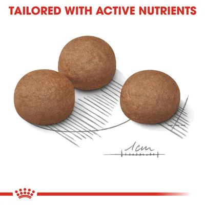 Three round kibble pieces shown with a 1cm scale and the text 'Tailored with active nutrients' above.