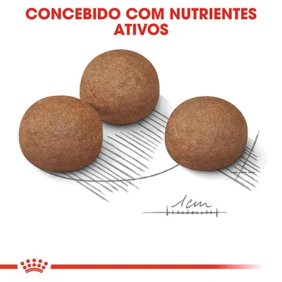 Três croquetes redondos de ração com escala desenhada a indicar 1 cm. Texto visível: 'Concebido com nutrientes ativos'.