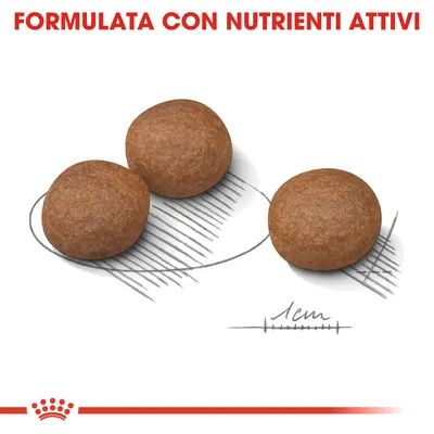 Tre crocchette tonde con scala di riferimento 1 cm e testo: FORMULATA CON NUTRIENTI ATTIVI.