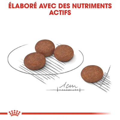 Croquettes rondes, diamètre indiqué 1 cm, texte visible : « Élaboré avec des nutriments actifs » en haut de l’image.