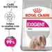 Royal Canin Mini Exigent