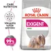 Royal Canin Mini Exigent