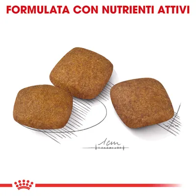 Royal Canin Relax Care Maxi Crocchette cane