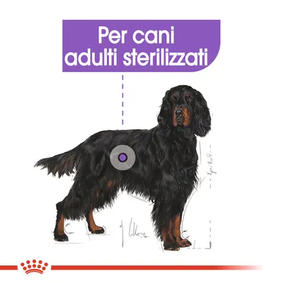 Per cani adulti sterilizzati