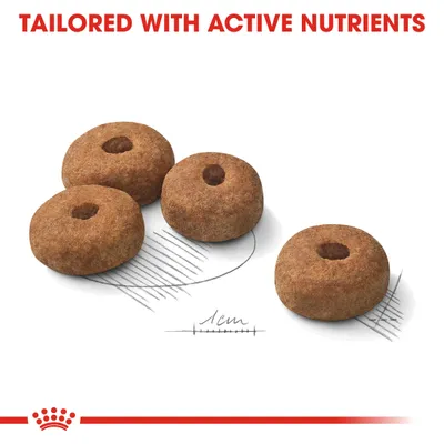 Four round kibble pieces shown with a 1cm scale and the text 'Tailored with active nutrients' above, highlighting nutrient content and kibble size.