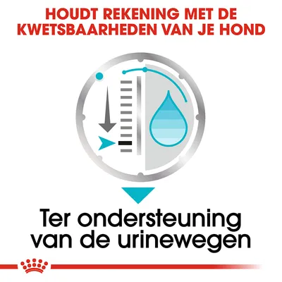 Houdt rekening met de kwetsbaarheden van je hond. Ter ondersteuning van de urinewegen.