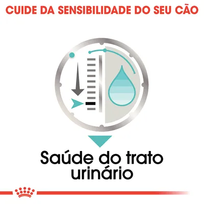 Cuide da sensibilidade do seu cão. Saúde do trato urinário.