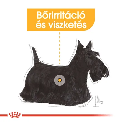 Bőrirritáció és viszketés felirat, skót terrier illusztrációval, a kutya oldalán kiemelt ponttal.