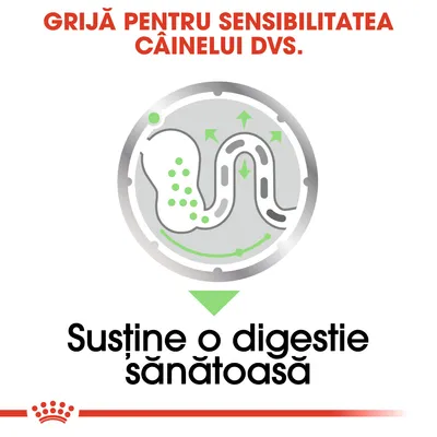 Text: Grijă pentru sensibilitatea câinelui dvs. Susține o digestie sănătoasă. Ilustrație schematică a unui tract digestiv cu săgeți verzi și puncte.