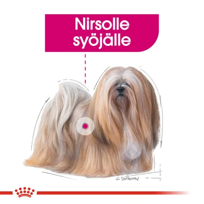 Teksti: Nirsolle syöjälle. Kuvassa pitkäkarvainen koira, taustalla Royal Canin -tyylinen punainen kruunuviiva.