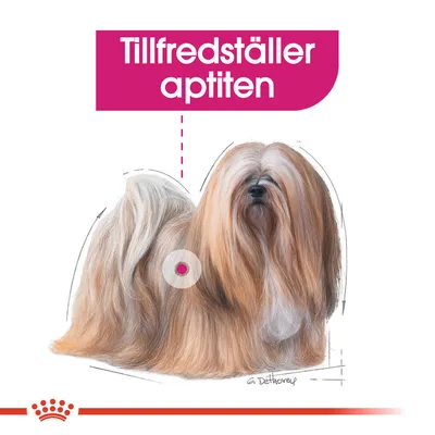 Illustration av långhårig hund med texten 'Tillfredsställer aptiten' i rosa ruta ovanför. Royal Canin-krona synlig längst ner.